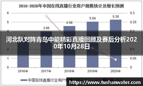 河北队对阵青岛中能精彩直播回顾及赛后分析2020年10月28日