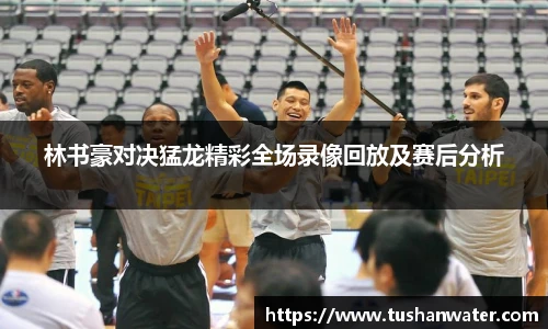 林书豪对决猛龙精彩全场录像回放及赛后分析